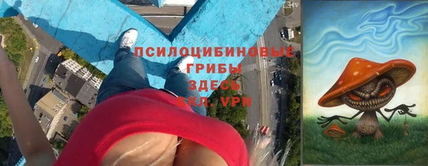 бошки Надым