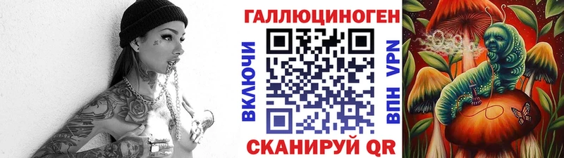 блэк спрут ТОР  Череповец  Псилоцибиновые грибы мицелий 