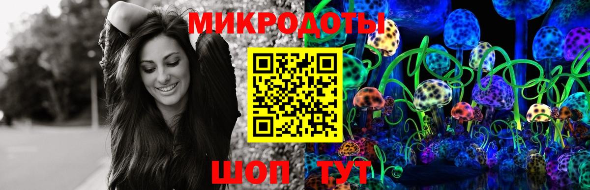 Псилоцибиновые грибы Psilocybine cubensis  Вход с VPN  что такое   Галлюциногенные грибы мицелий  Череповец 
